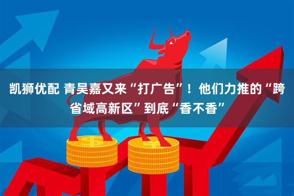 凯狮优配 青吴嘉又来“打广告”！他们力推的“跨省域高新区”到底“香不香”