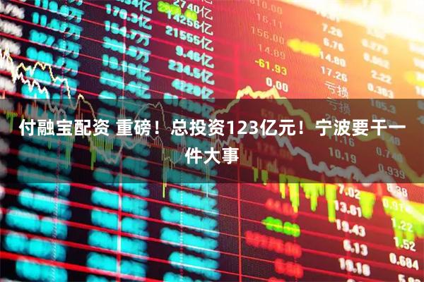 付融宝配资 重磅！总投资123亿元！宁波要干一件大事