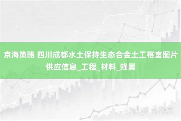 京海策略 四川成都水土保持生态合金土工格室图片供应信息_工程_材料_蜂巢