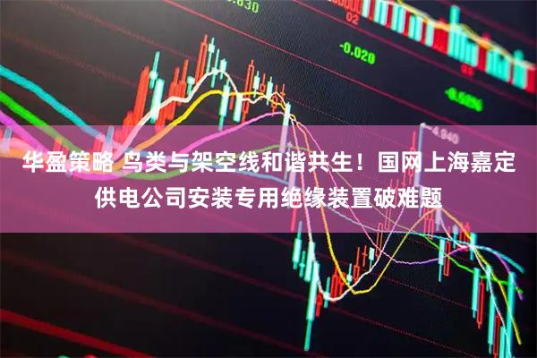 华盈策略 鸟类与架空线和谐共生！国网上海嘉定供电公司安装专用绝缘装置破难题