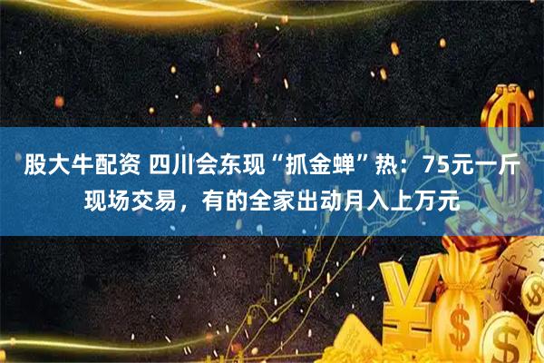 股大牛配资 四川会东现“抓金蝉”热：75元一斤现场交易，有的全家出动月入上万元